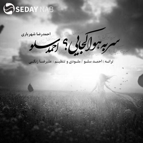 دانلود آهنگ جدید احمد سلو به نام سر به هوا کجایی